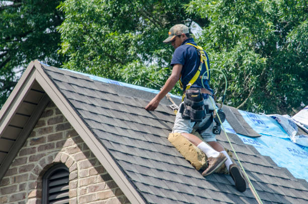 Best Roof Gutter Cleaning  in Palmview South, TX